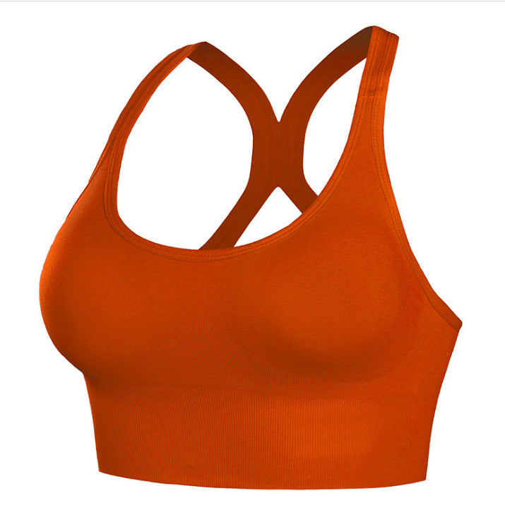 🧘‍♀️ Brassière de Sport Femme Sans Coutures