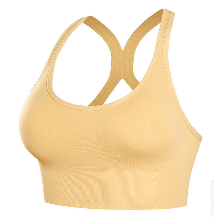 🧘‍♀️ Brassière de Sport Femme Sans Coutures